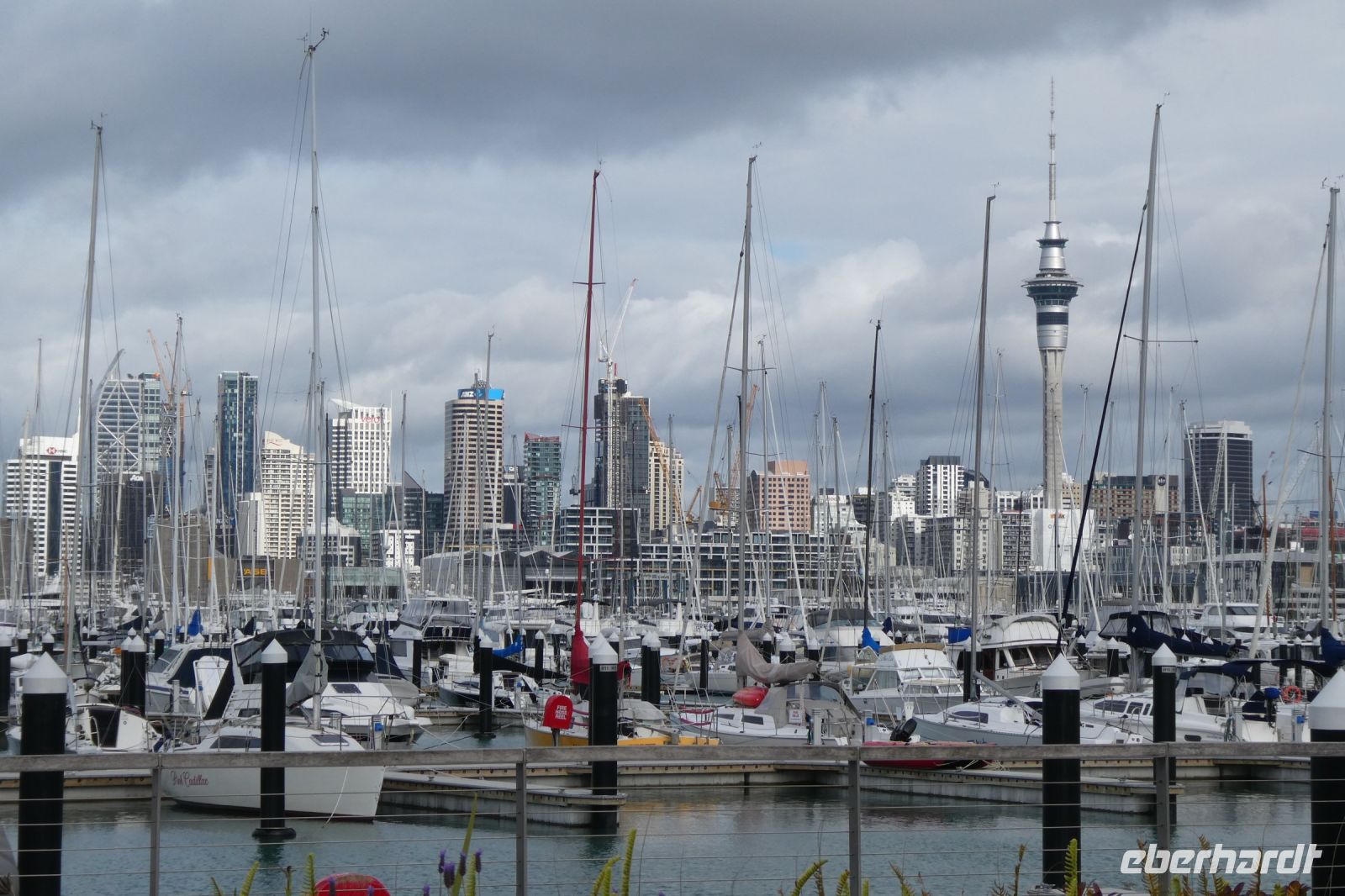 am Yachthafen von Auckland