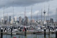 am Yachthafen von Auckland