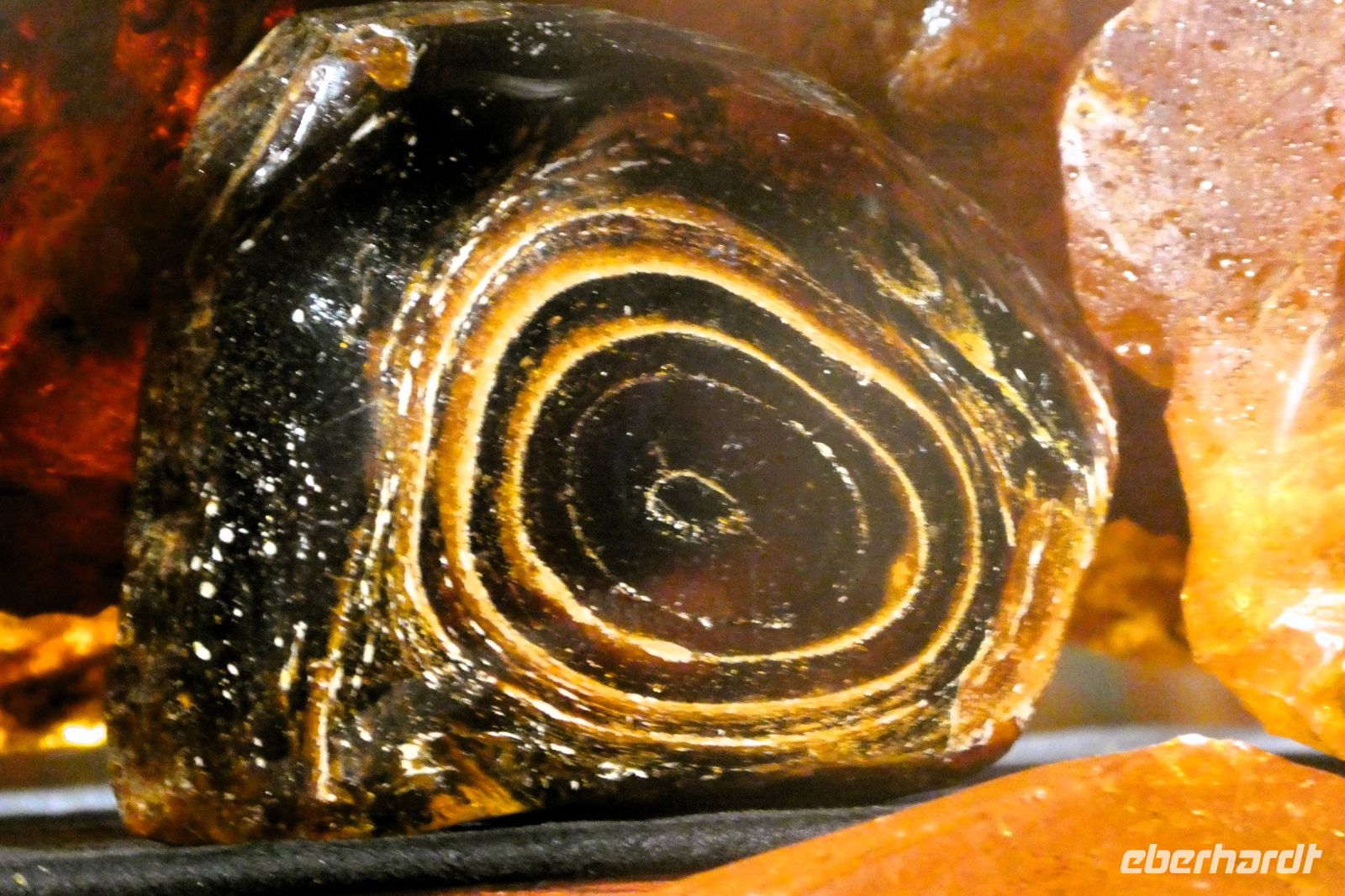kostbarer Bernstein