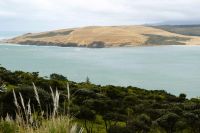 Bay of Islands im Regen