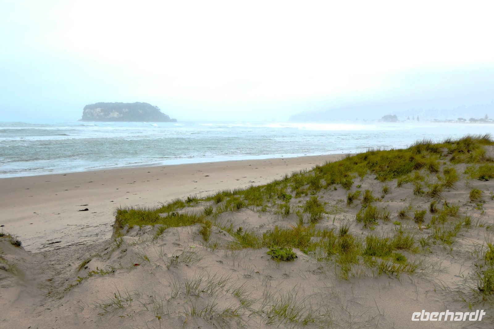 am Strand der Coromandel-Halbinsel