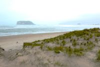 am Strand der Coromandel-Halbinsel