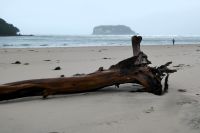 Robinson Crusoe Strand