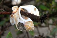 Fantasie hilft immer