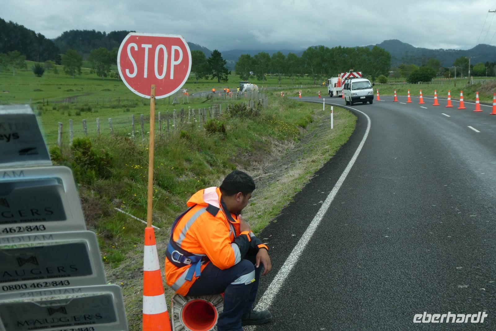 Lollypop bei der Arbeit