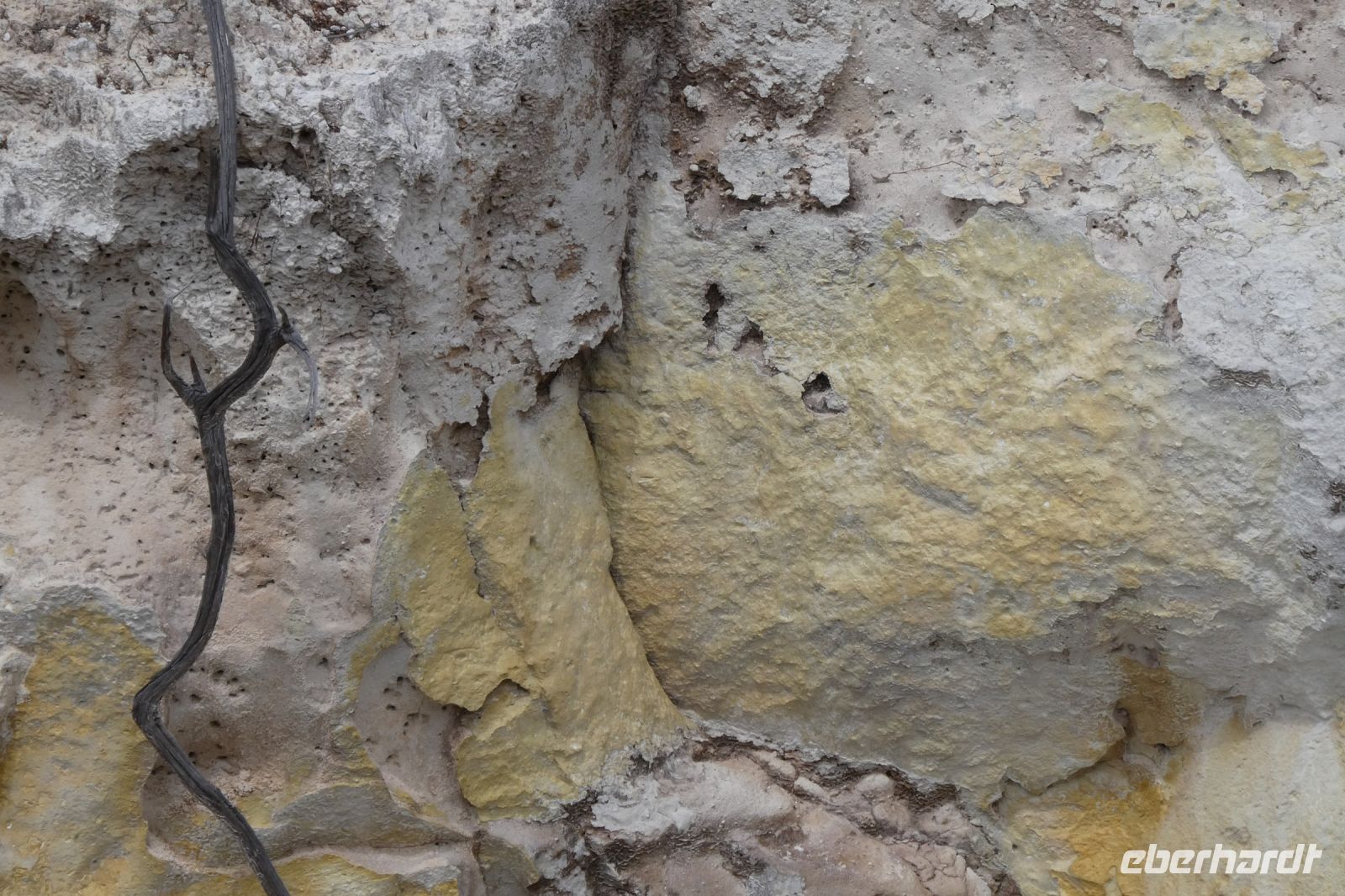 warum es in Rotorua so riecht