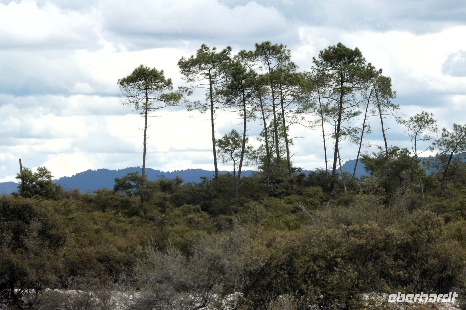 bei den heißen Quellen von Wai-O-Tapu