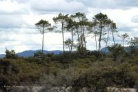 bei den heißen Quellen von Wai-O-Tapu