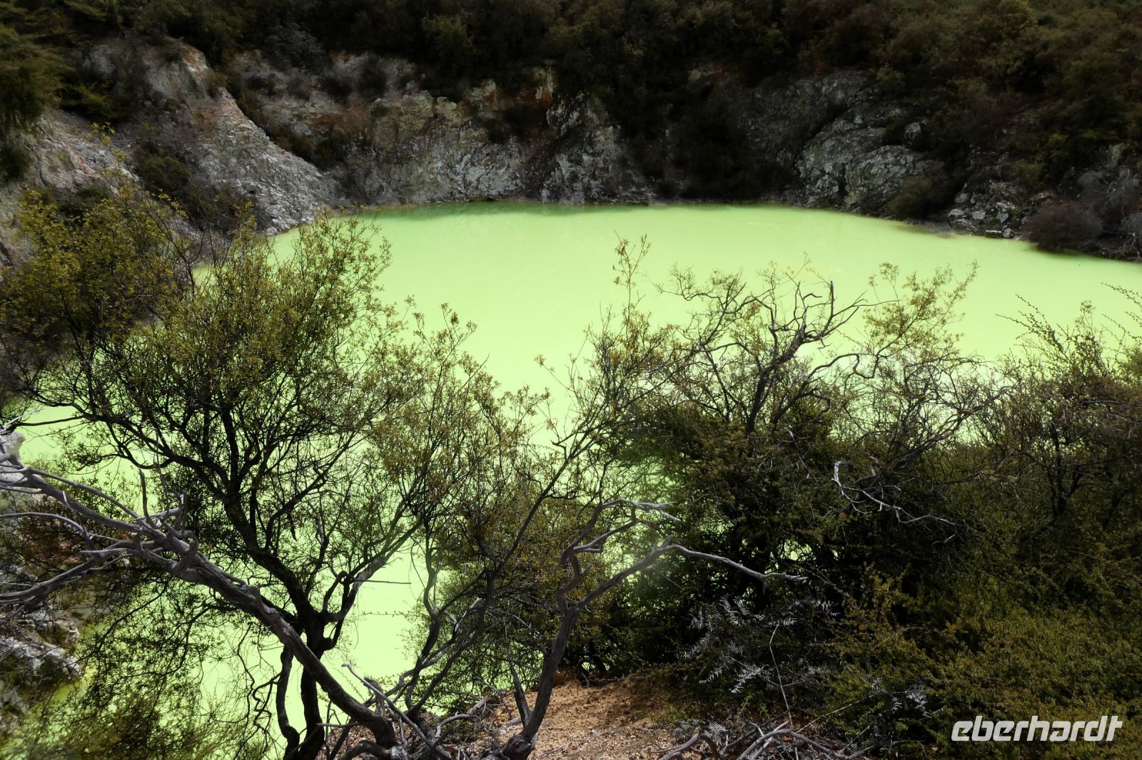 das sieht giftig aus!