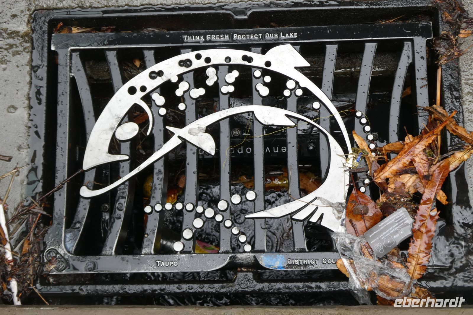 fantasievolle Gullys