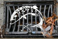 fantasievolle Gullys