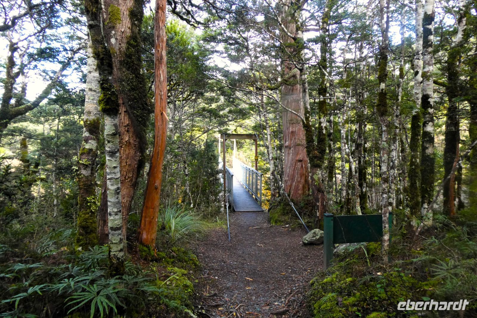 auf dem Weg zu den Waironga Wasserfällen