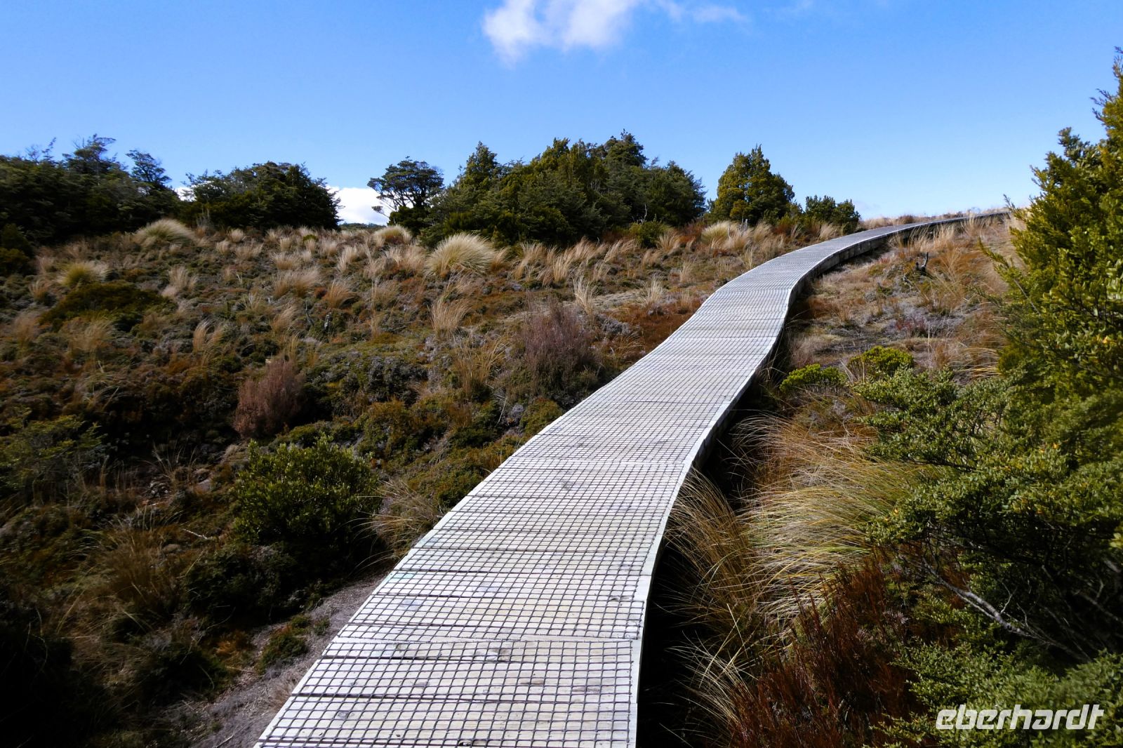 unter der Baumgrenze