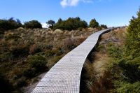 unter der Baumgrenze