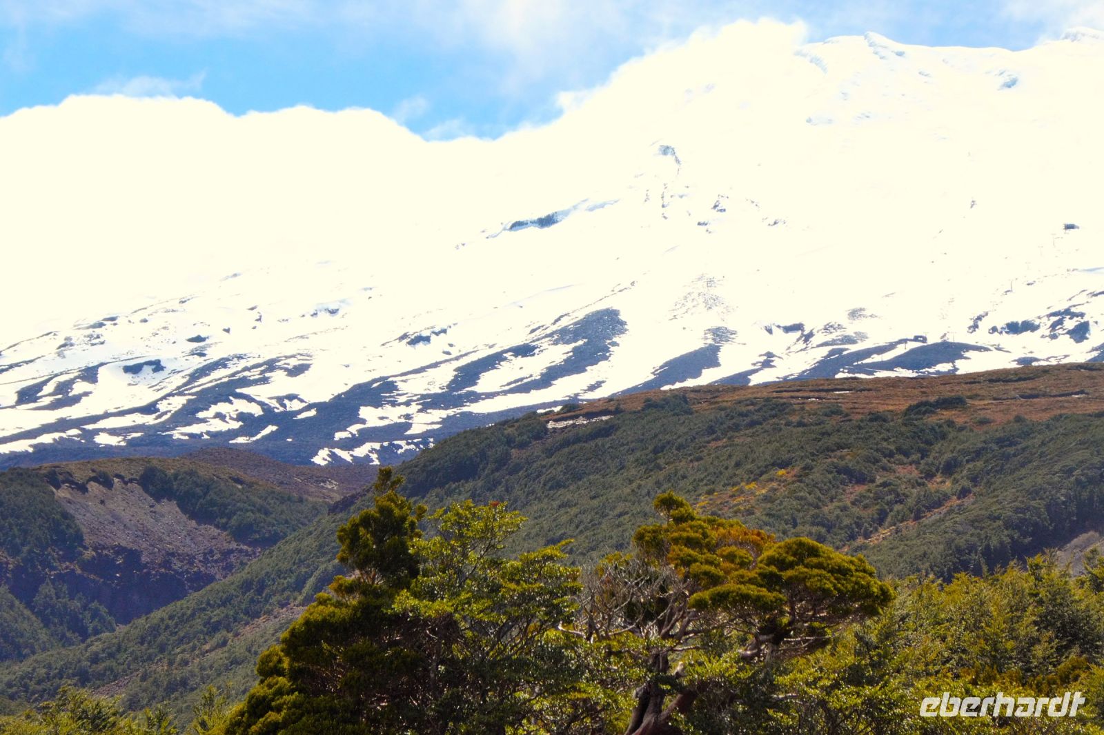 Mt. Ruapehu im Schnee