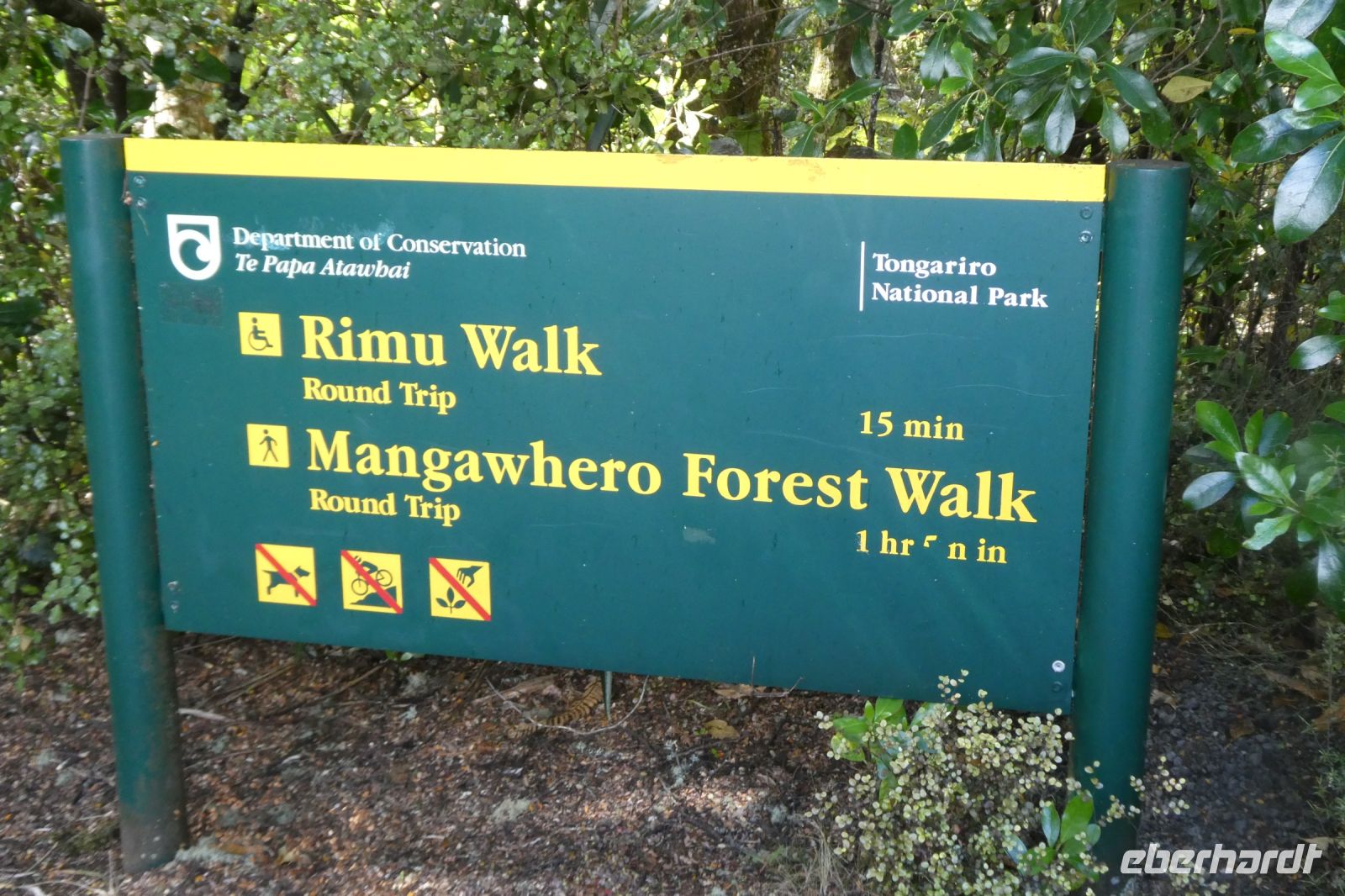 der nächste Spaziergang