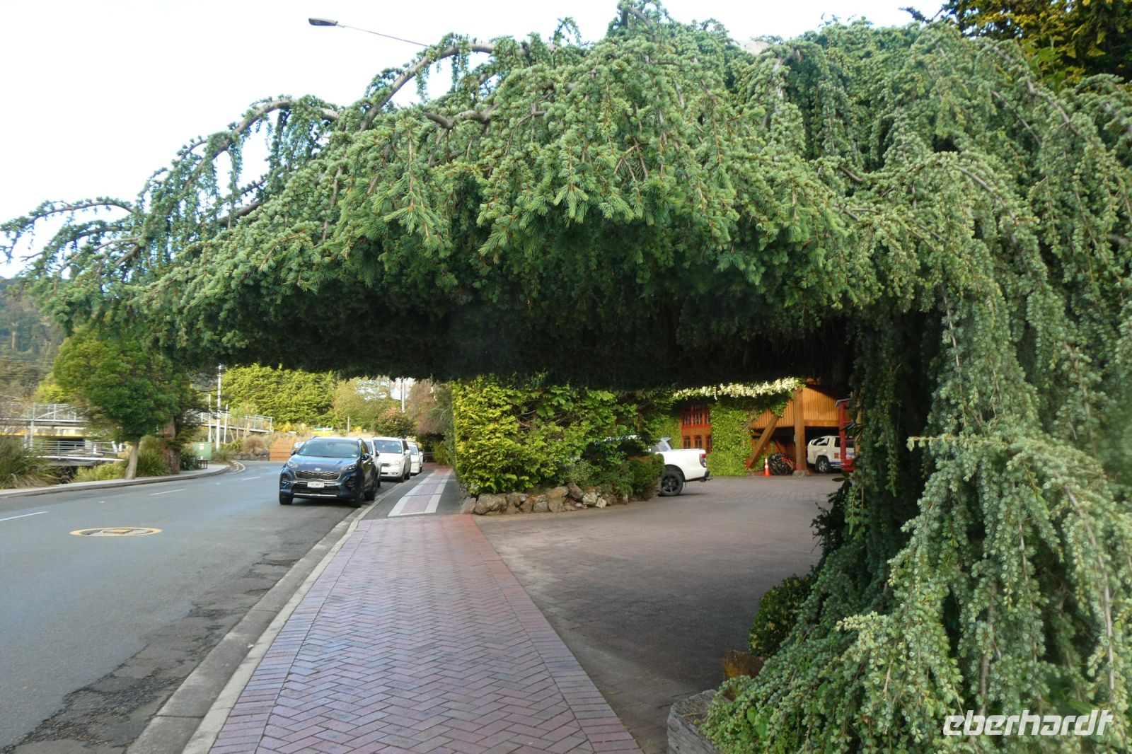 praktisches Regendach?