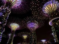 2. Reisetag – Singapur bei Nacht – Gardens by the Bay – Lichtershow