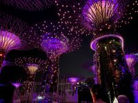 2. Reisetag – Singapur bei Nacht – Gardens by the Bay – Lichtershow