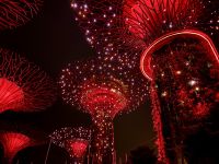 2. Reisetag – Singapur bei Nacht – Gardens by the Bay – Lichtershow