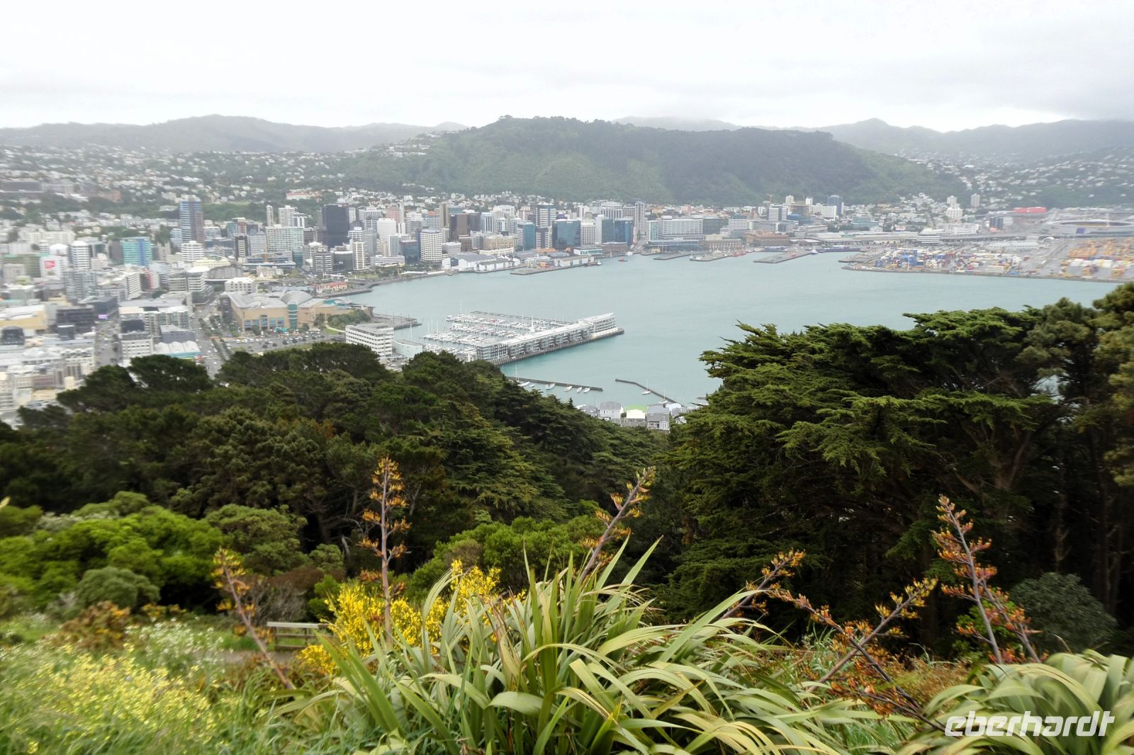 Blick vom Mount Victoria Look Out