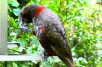 ich bin besonders hübsch!