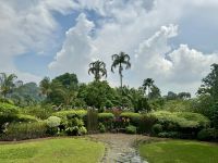 3. Reisetag – Stadtrundfahrt in Singapur – Nationaler Orchideengarten