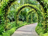 3. Reisetag – Stadtrundfahrt in Singapur – Nationaler Orchideengarten