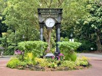 3. Reisetag – Stadtrundfahrt in Singapur – Nationaler Orchideengarten