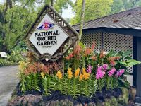 3. Reisetag – Stadtrundfahrt in Singapur – Nationaler Orchideengarten