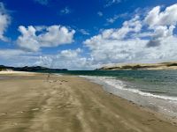 5. Reisetag – Von Auckland nach Paihia – Aufenthalt am Opononi Beach