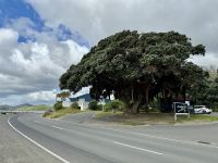 5. Reisetag – Von Auckland nach Paihia – Aufenthalt am Opononi Beach