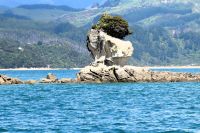 Granitfelsenverwitterung