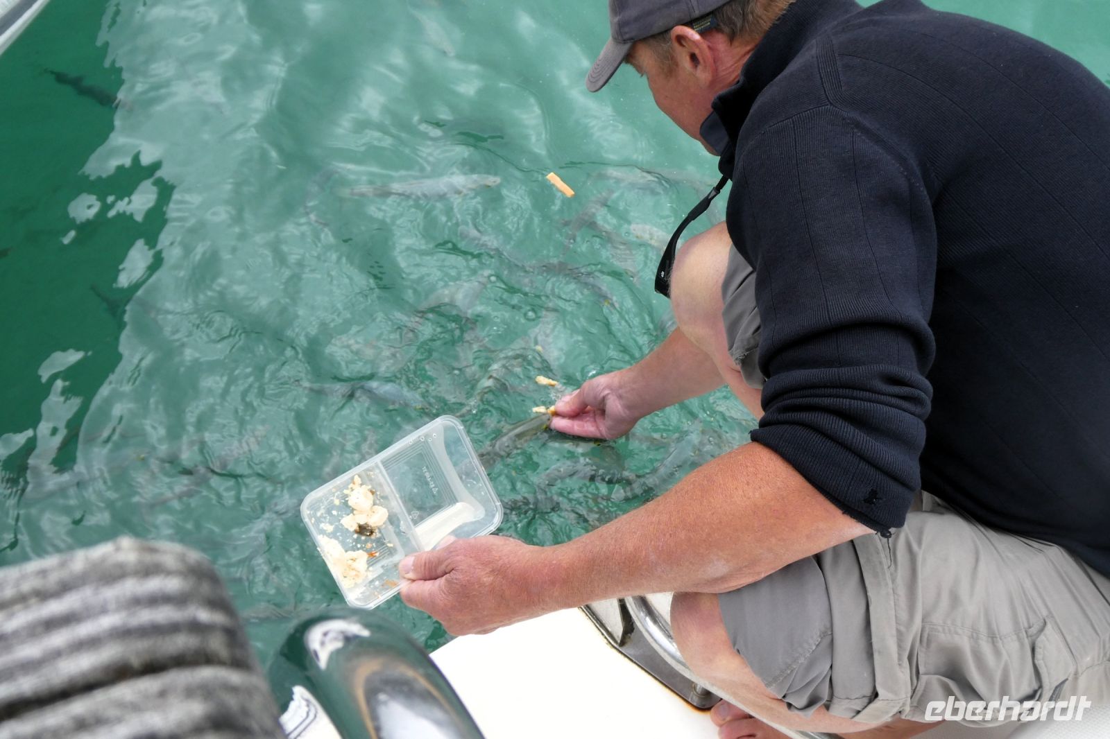 auch die Fische bekommen etwas