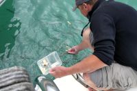 auch die Fische bekommen etwas