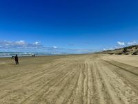 6. Reisetag – Tagesausflug zum Cape Reinga – Aufenthalt am 90 Mile Beach