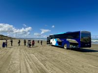 6. Reisetag – Tagesausflug zum Cape Reinga – Aufenthalt am 90 Mile Beach