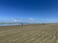 6. Reisetag – Tagesausflug zum Cape Reinga – Aufenthalt am 90 Mile Beach