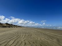 6. Reisetag – Tagesausflug zum Cape Reinga – Aufenthalt am 90 Mile Beach