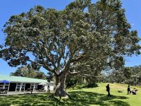 6. Reisetag – Tagesausflug zum Cape Reinga – Mittagspause am Houhora Harbour