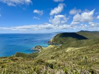 6. Reisetag – Tagesausflug zum Cape Reinga – Spaziergang zum Leuchtturm am Cape Reinga