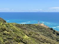 6. Reisetag – Tagesausflug zum Cape Reinga – Spaziergang zum Leuchtturm am Cape Reinga