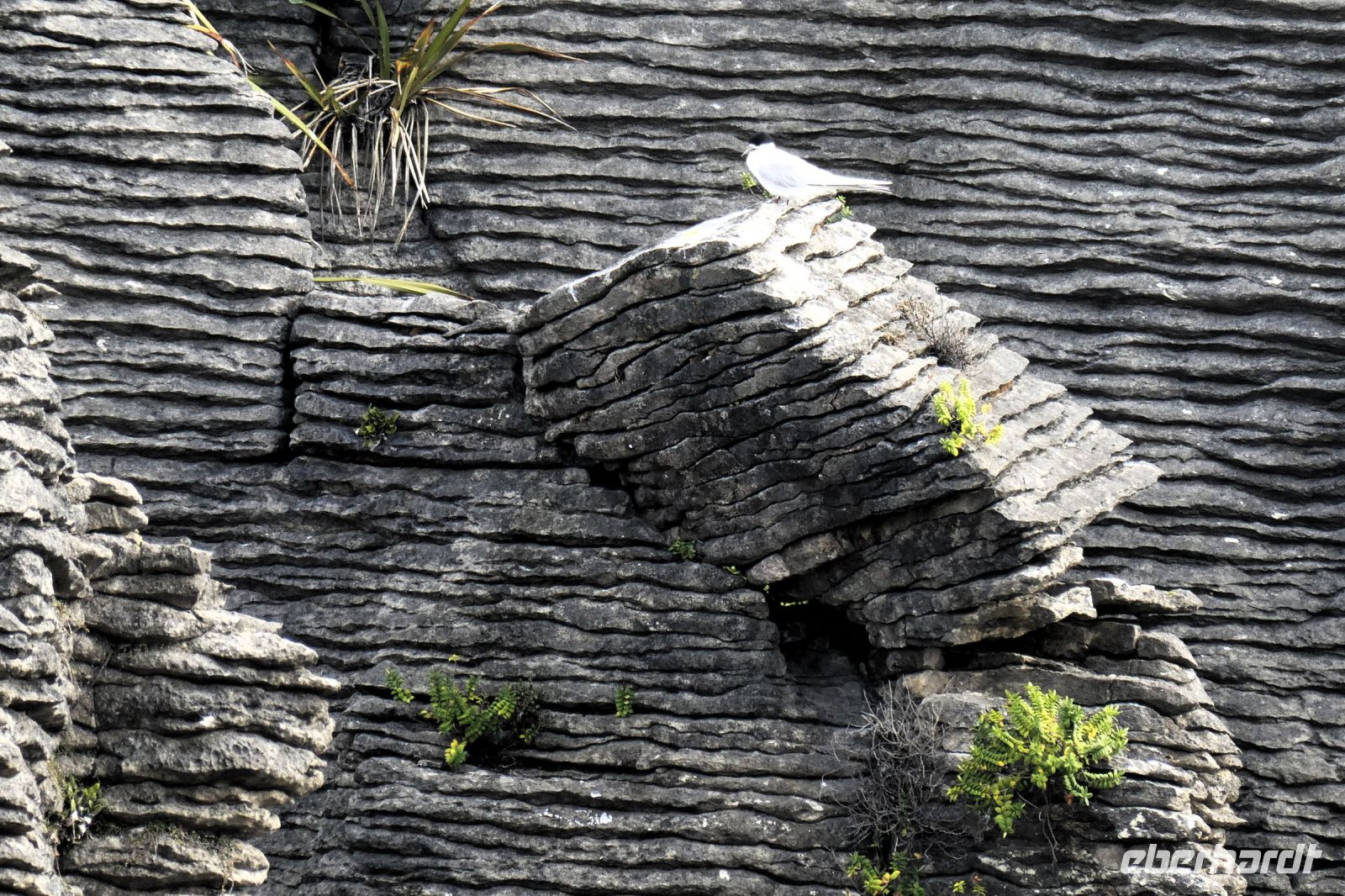 besondere Felsformation