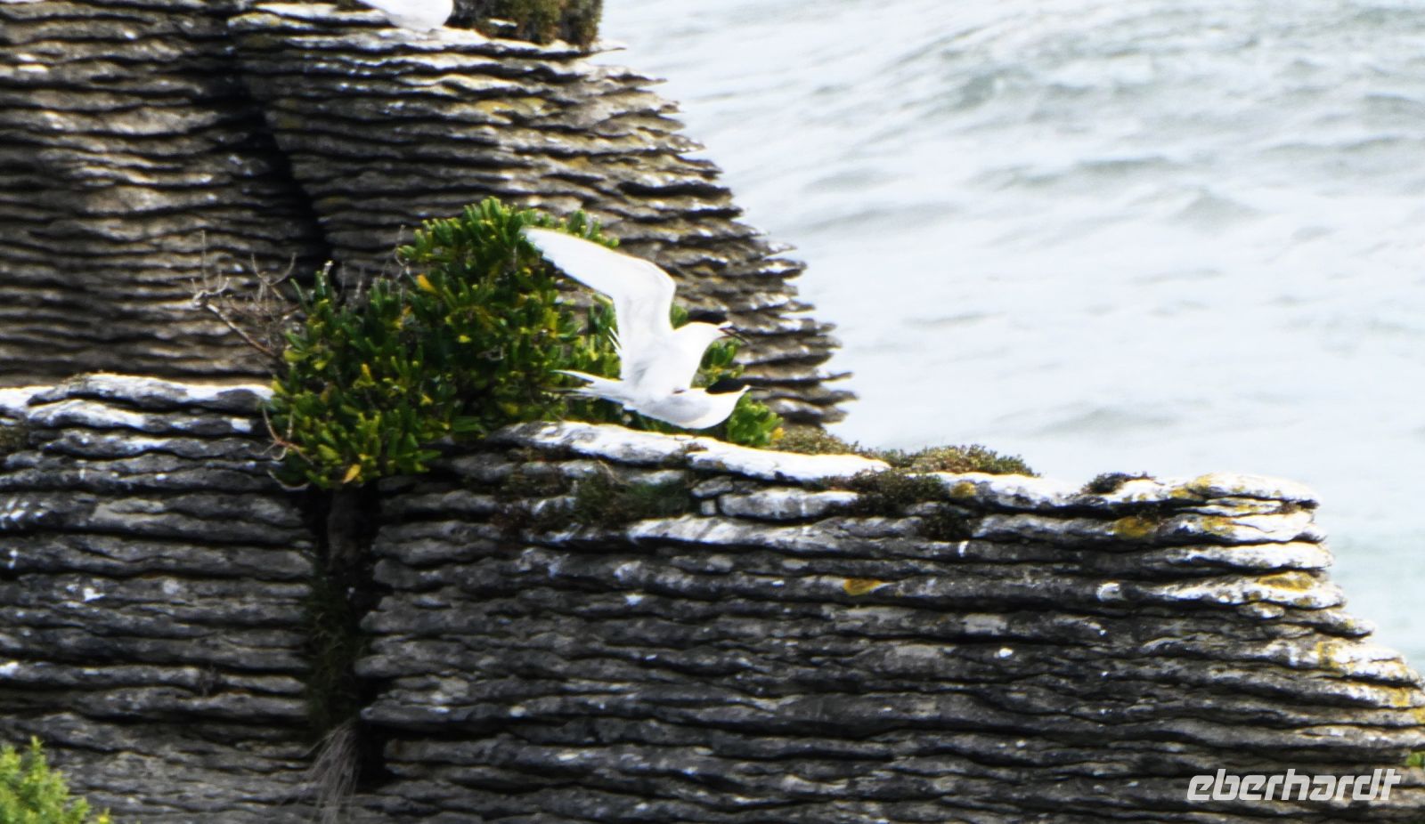 was macht Ihr denn da?