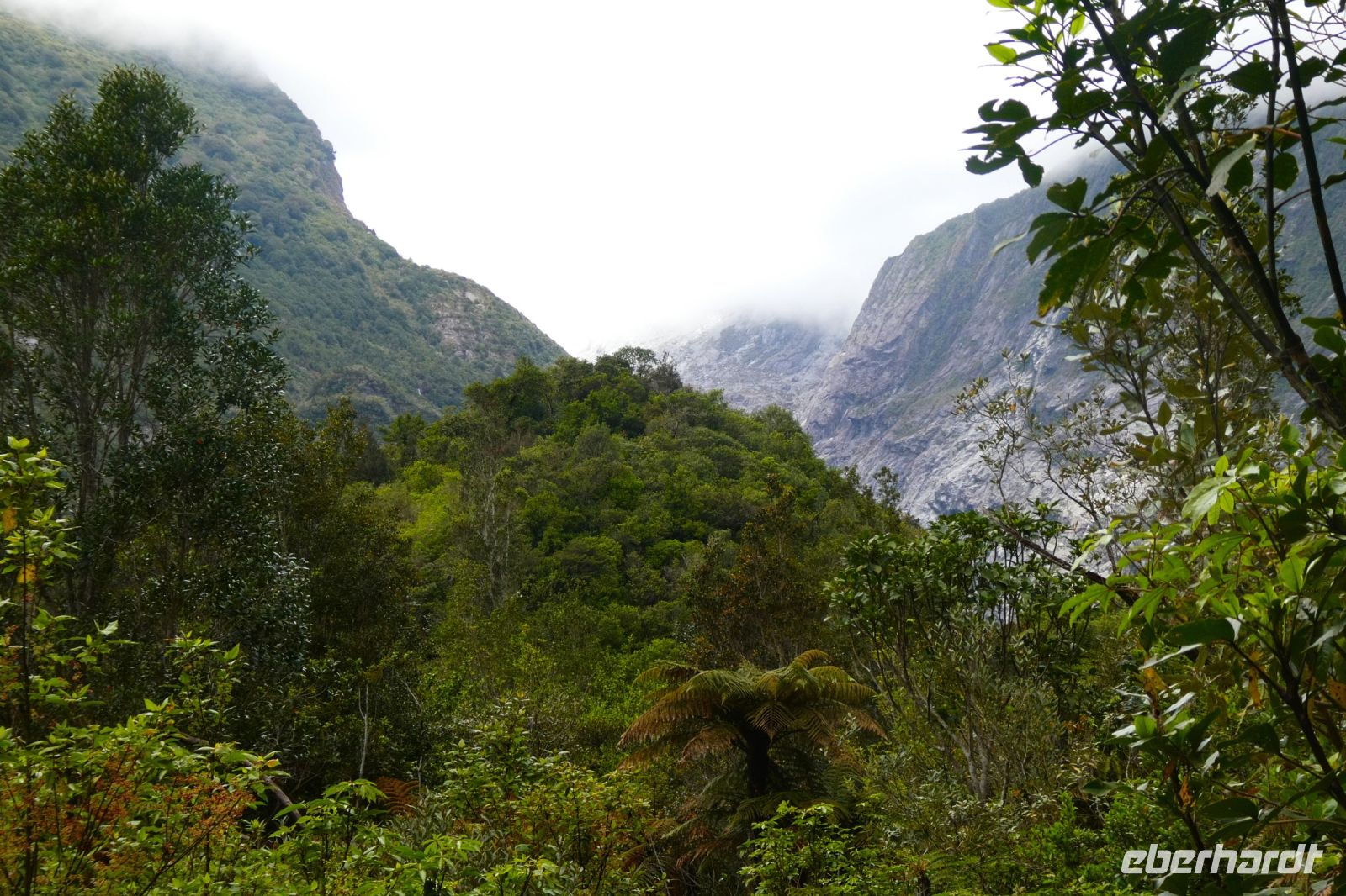 in Richtung Franz Josef Gletscher