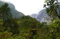 in Richtung Franz Josef Gletscher