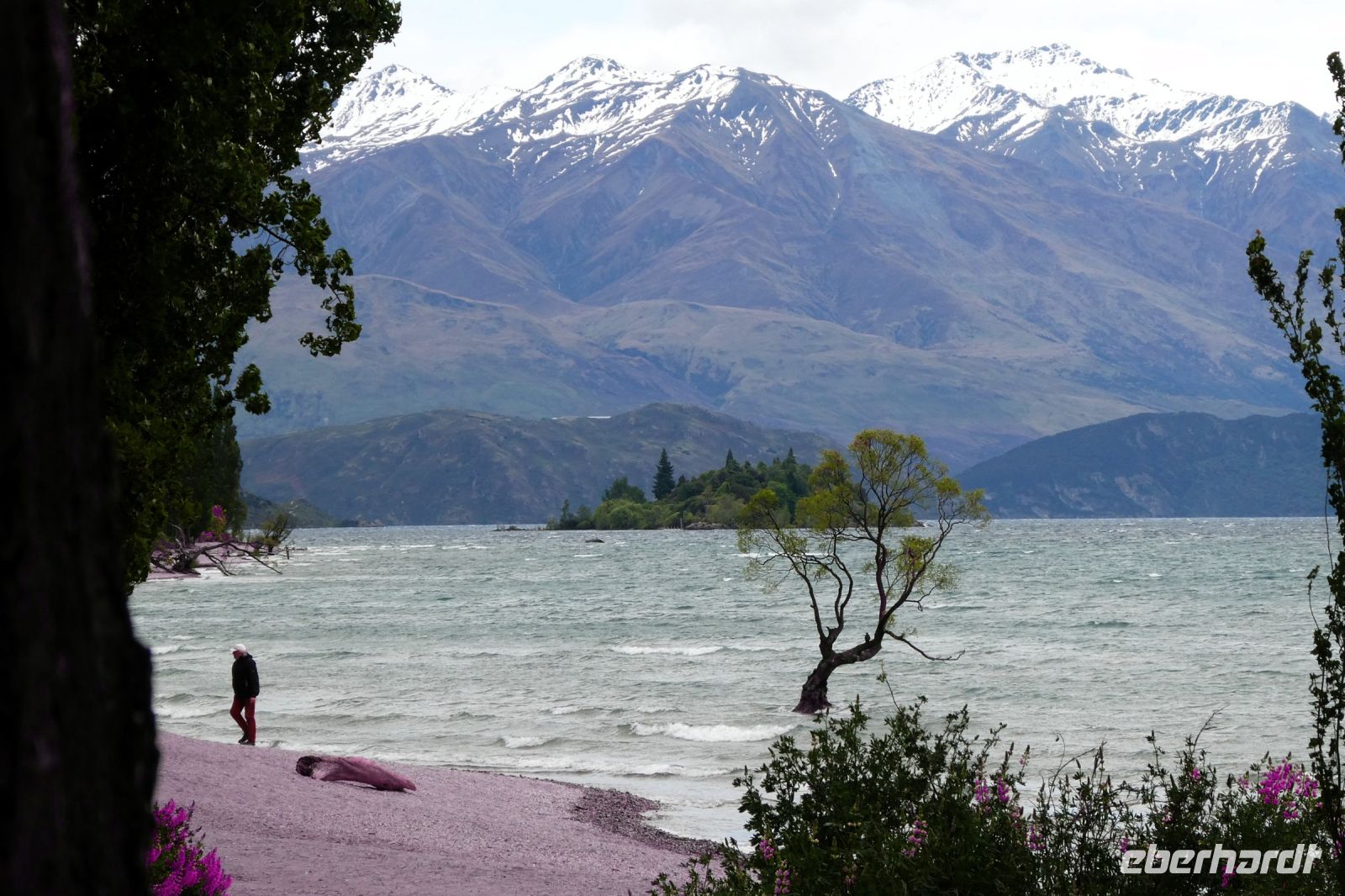 einsamer Wanderer - einsamer Baum