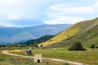 gelbe Hänge im Frühjahr