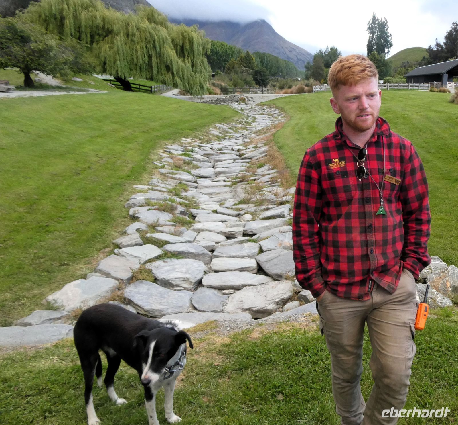 Schafscherer mit Hütehund