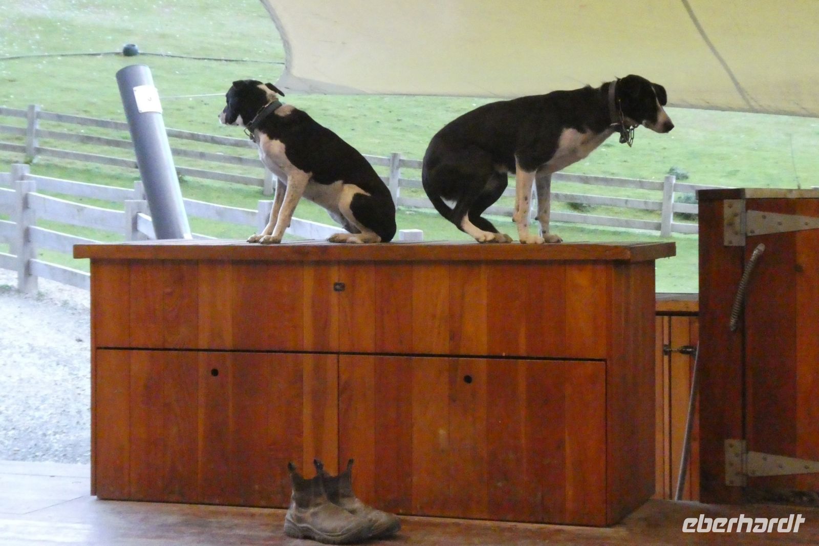 wann geht's denn los?